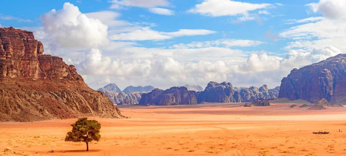 Wadi Rum Bubble Tent & Bedouin Style Exteriör bild